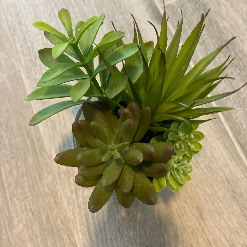 Green Succulent Arrangement in Glass Vase